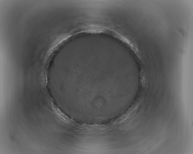 X0000111911448200908031128