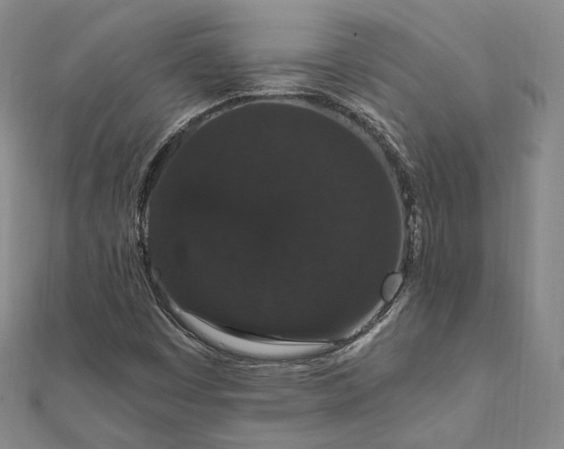 X0000111911449200908031128