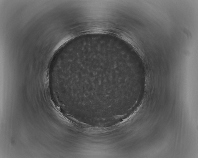 X0000111911450200908031128