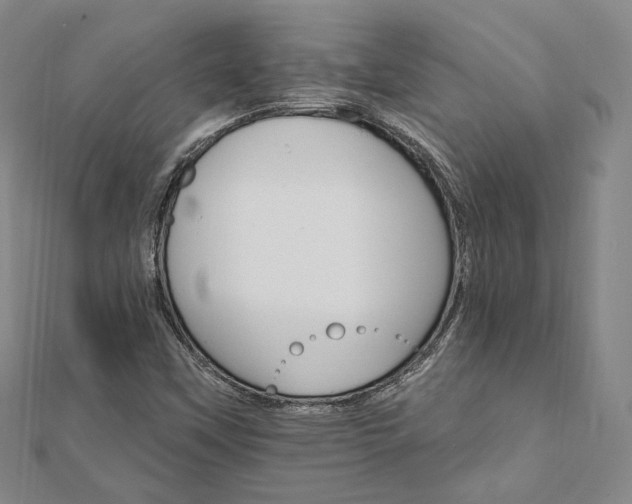 X0000111911451200908031128