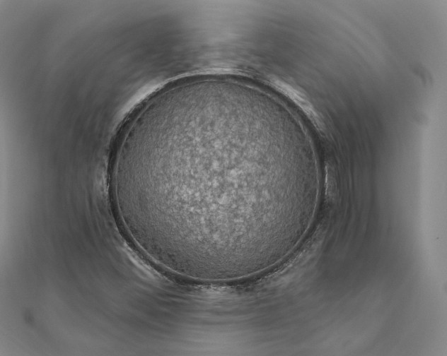 X0000111911452200908031128