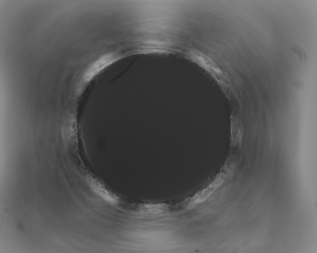 X0000111911453200908031128