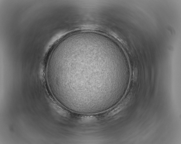 X0000111911454200908031128