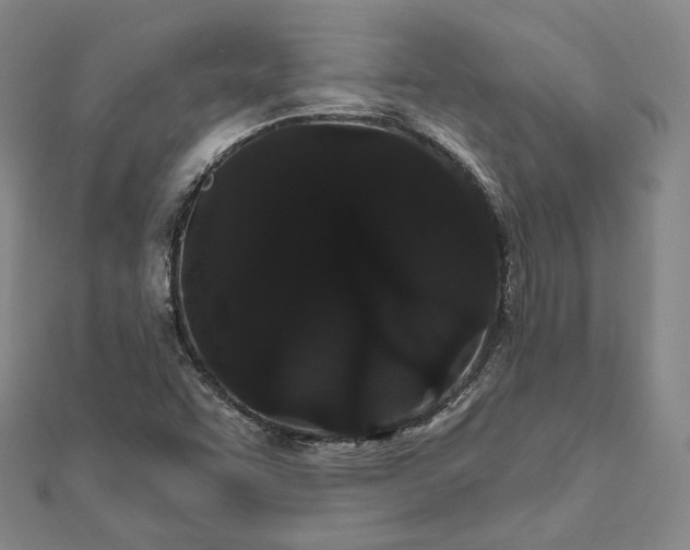 X0000111911455200908031128