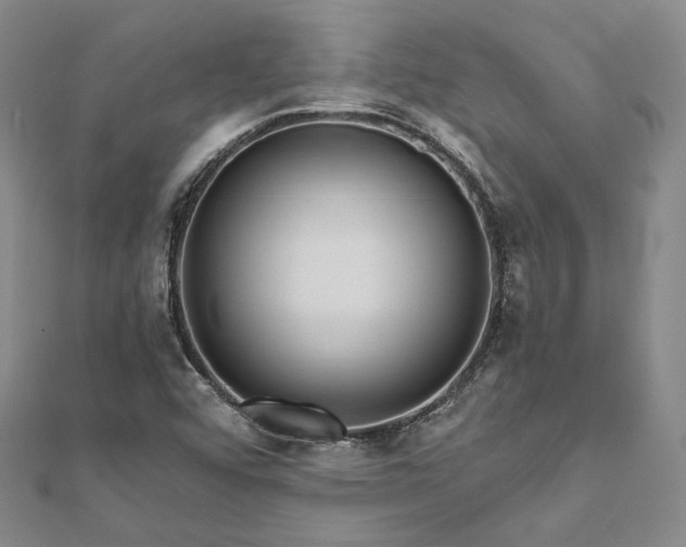 X0000111911456200908031128