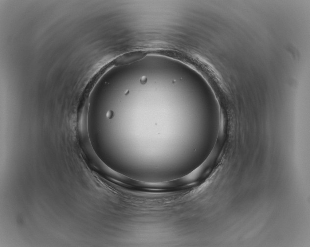 X0000111911457200908031128