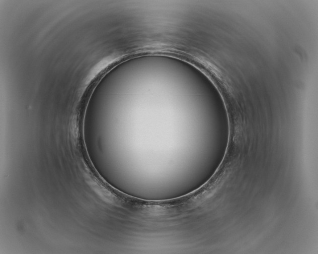 X0000111911458200908031128