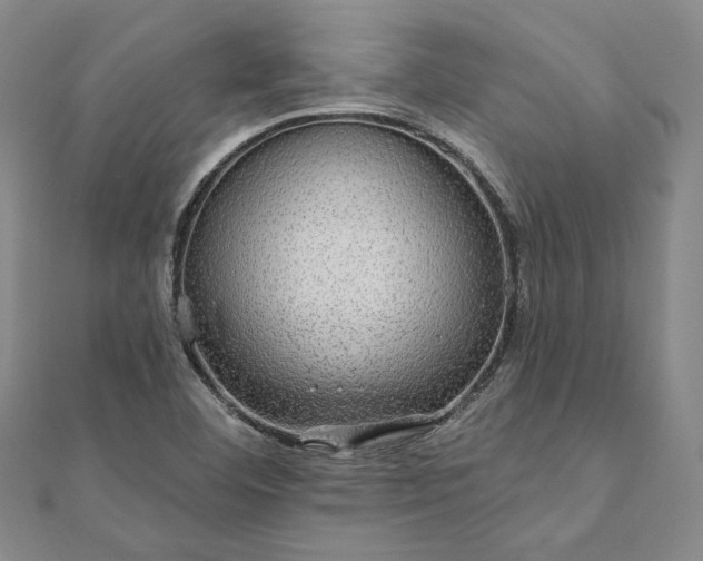 X0000111911460200908031128