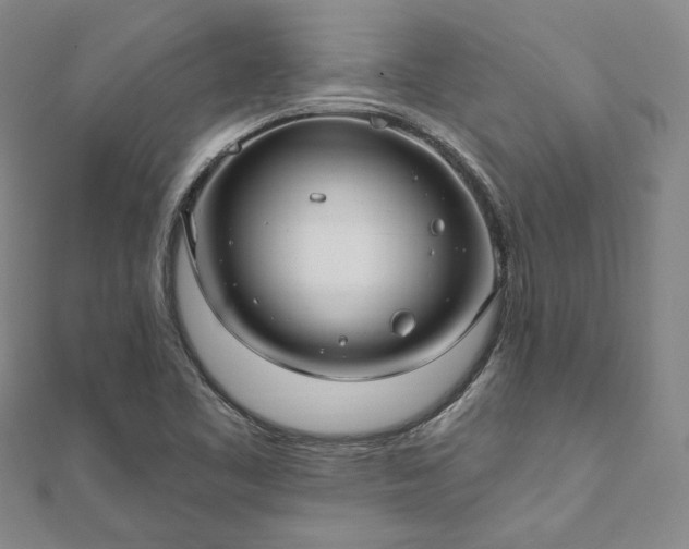 X0000111911461200908031128