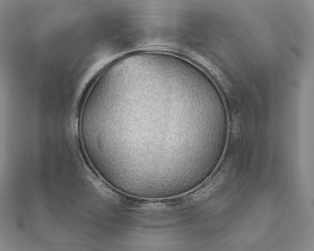 X0000111911462200908031128