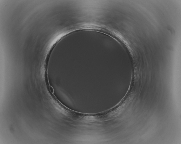 X0000111911463200908031128