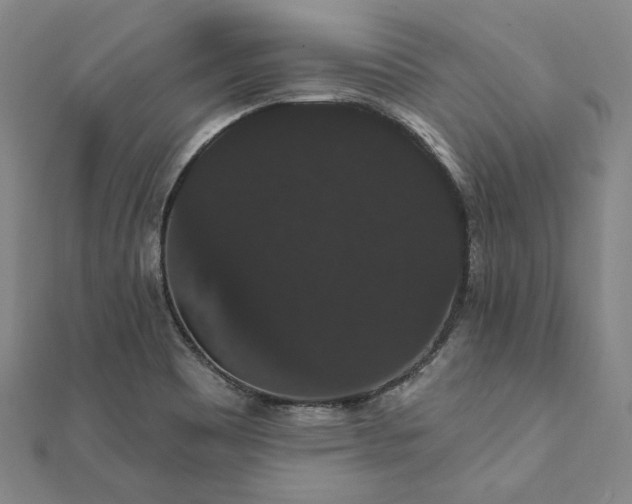X0000111911465200908031128