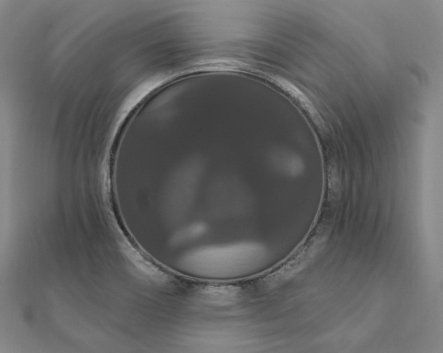 X0000111911466200908031128