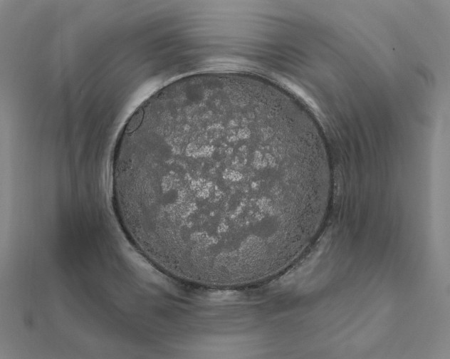 X0000111911467200908031128