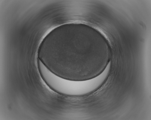 X0000111911468200908031128