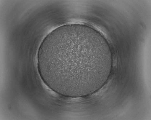 X0000111911471200908031128