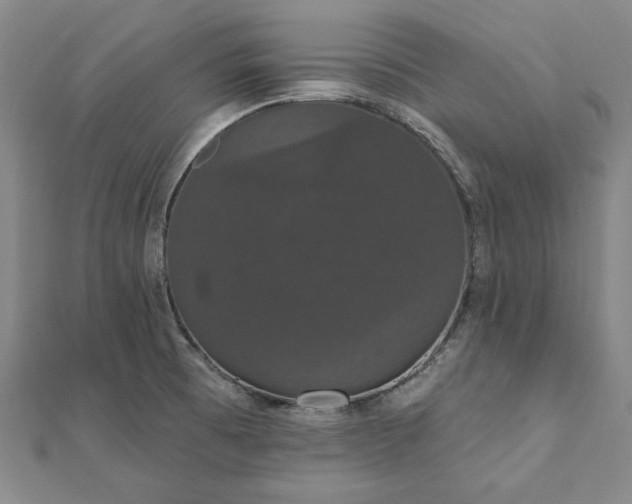 X0000111911473200908031128