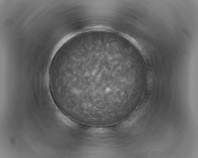 X0000111911474200908031128