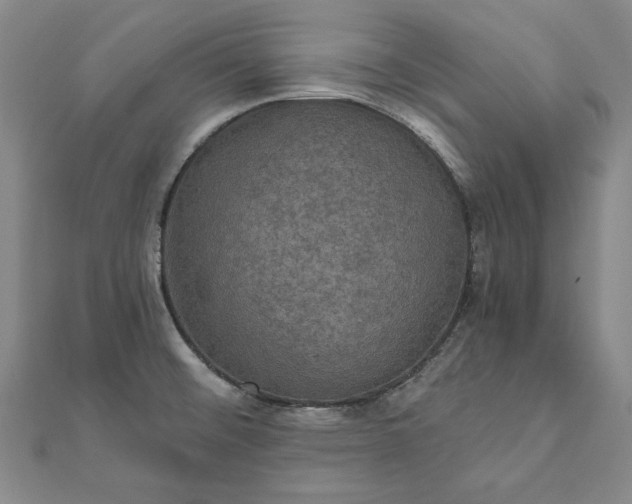 X0000111911476200908031128