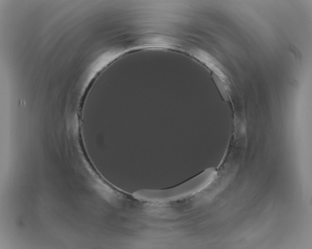 X0000111911477200908031127