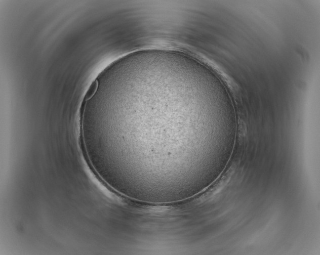 X0000111911479200908031127