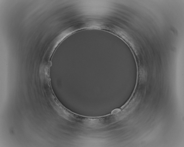 X0000111911481200908031127