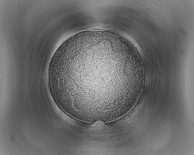 X0000111911483200908031127