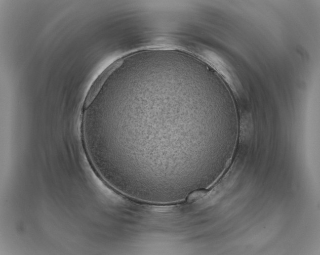 X0000111911484200908031127