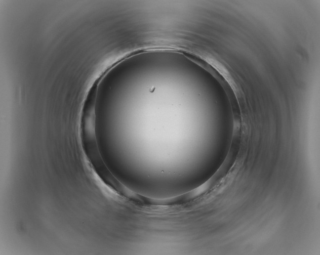 X0000111911485200908031127