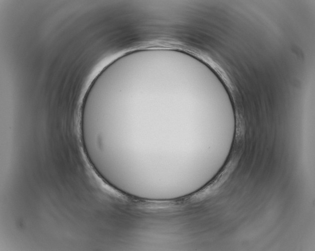 X0000111911486200908031127