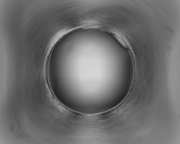 X0000111911488200908031127