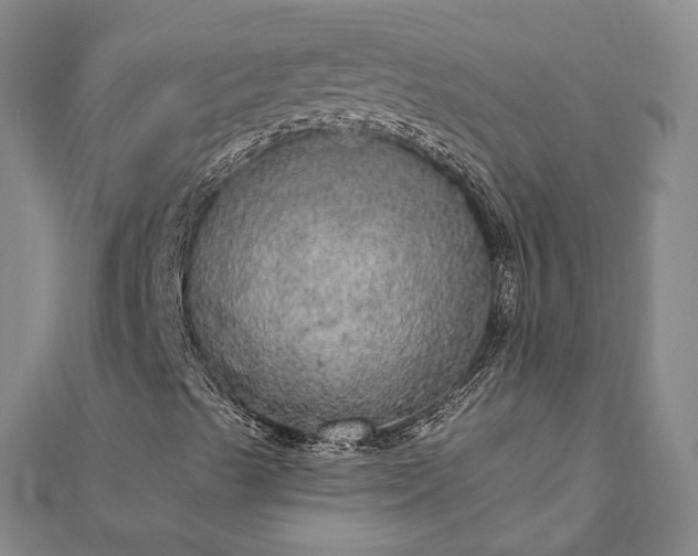 X0000111911489200908031127