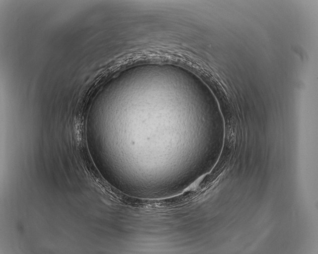 X0000111911490200908031127