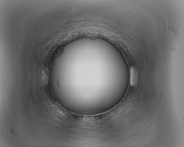 X0000111911491200908031127