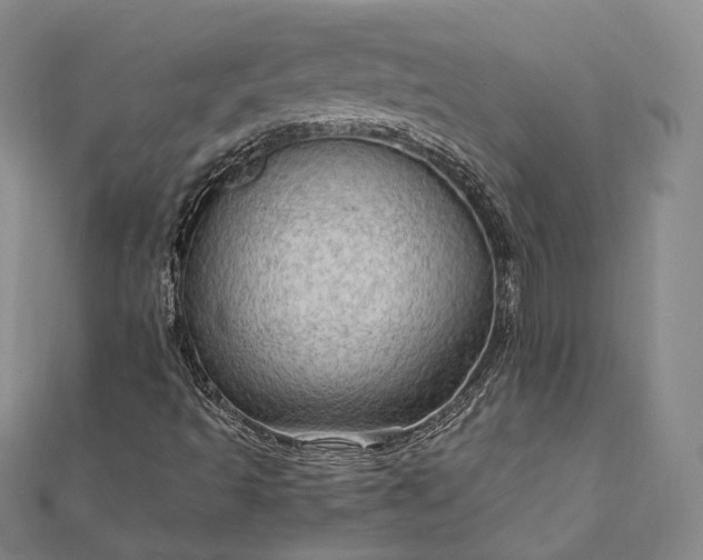 X0000111911493200908031127