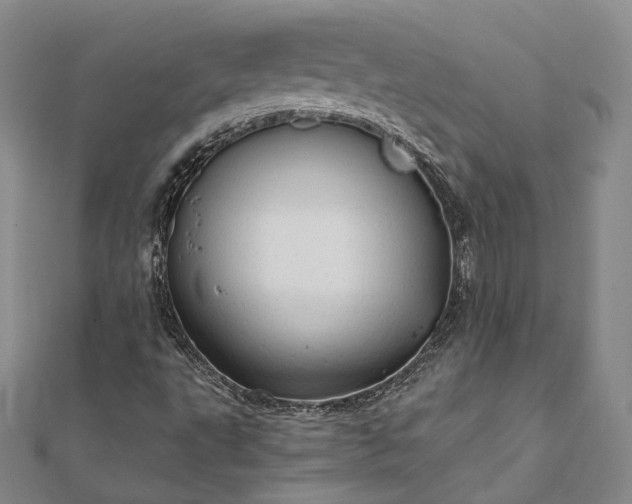 X0000111911495200908031127