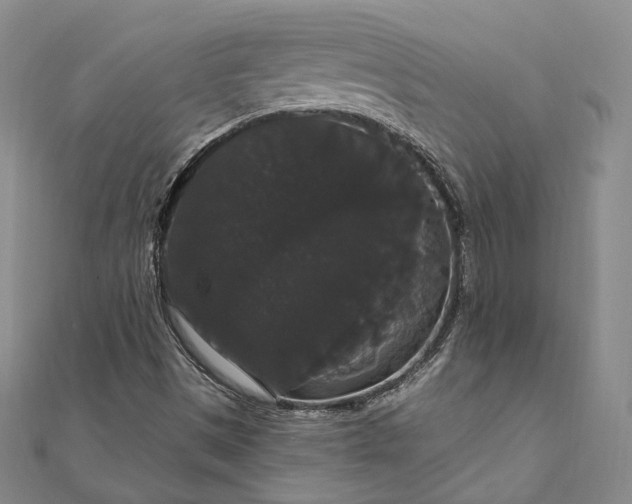 X0000111911497200908031127