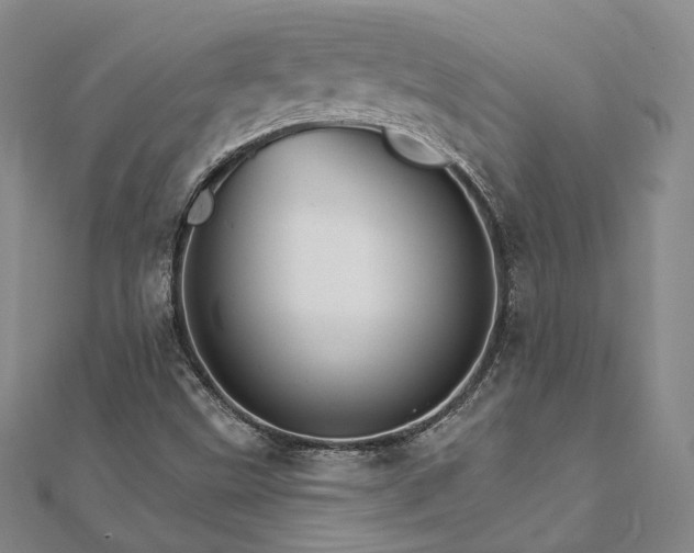 X0000111911499200908031127