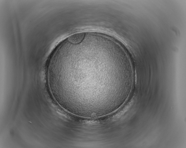 X0000111911501200908031127