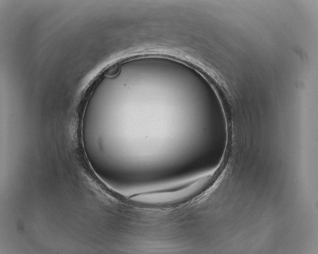 X0000111911502200908031127