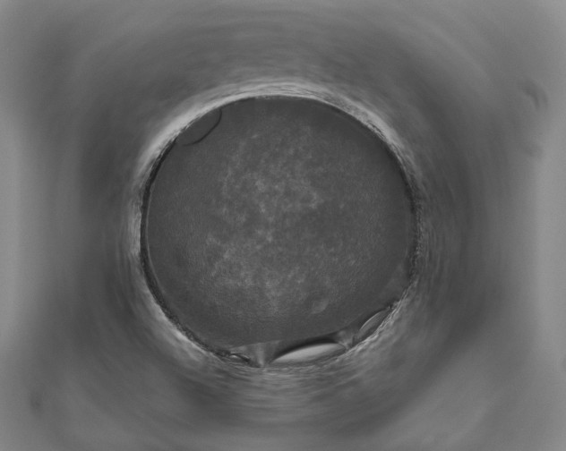X0000111911504200908031127