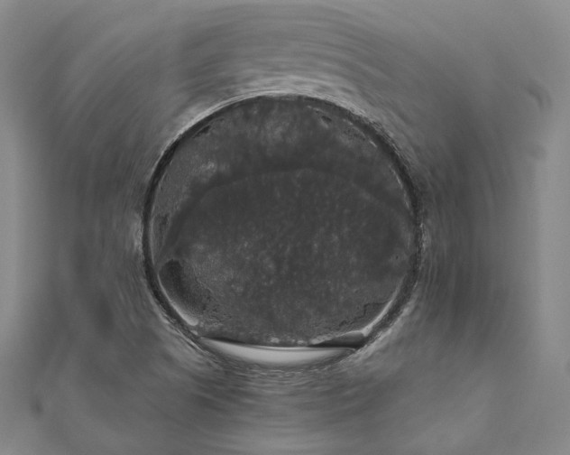 X0000111911505200908031127