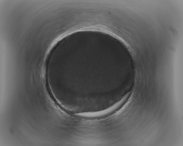 X0000111911506200908031127
