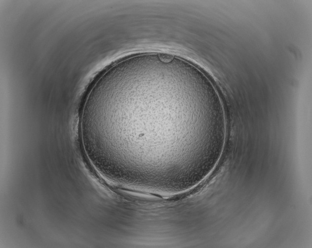 X0000111911507200908031127
