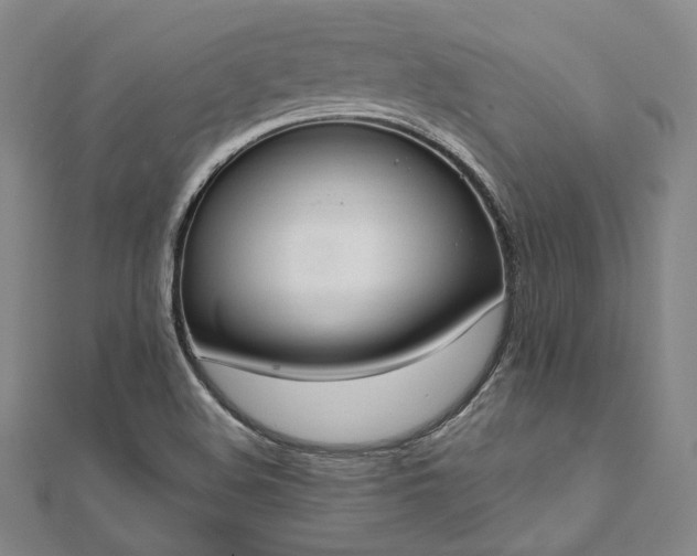 X0000111911508200908031127