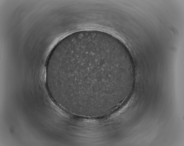X0000111911509200908031127