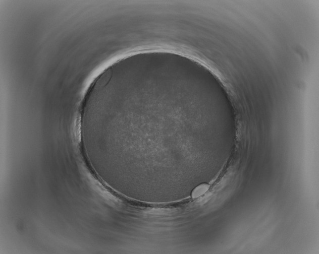 X0000111911510200908031127