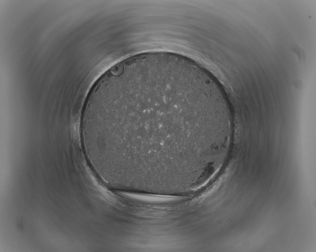 X0000111911513200908031127