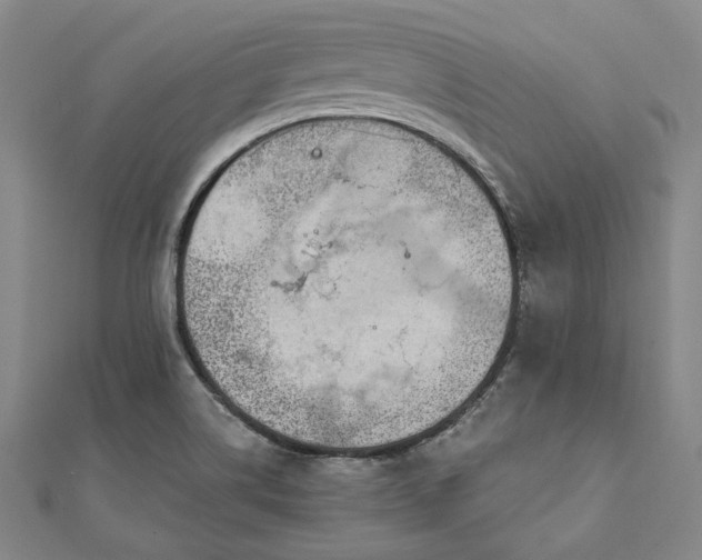 X0000111911514200908031127