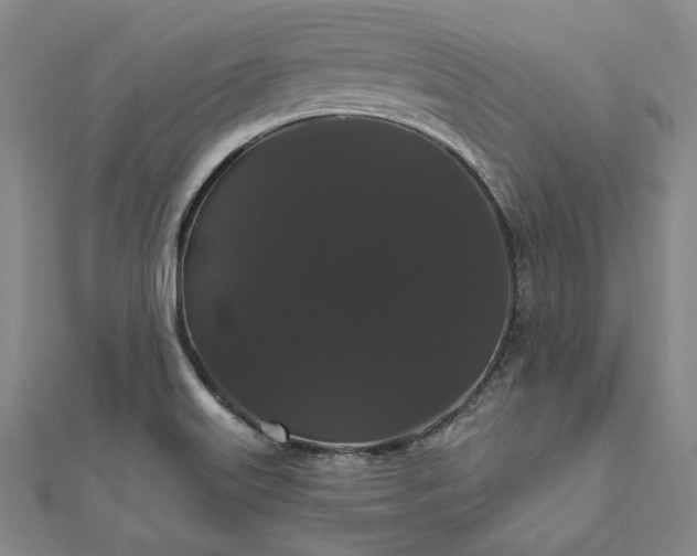 X0000111911515200908031127